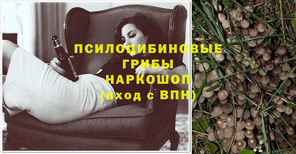 соль курить ск Абаза