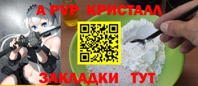 индика Лесосибирск