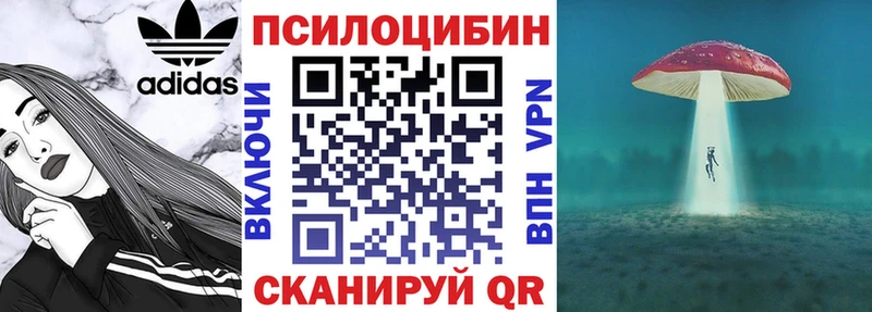 что такое   Кисловодск  Псилоцибиновые грибы Magic Shrooms 