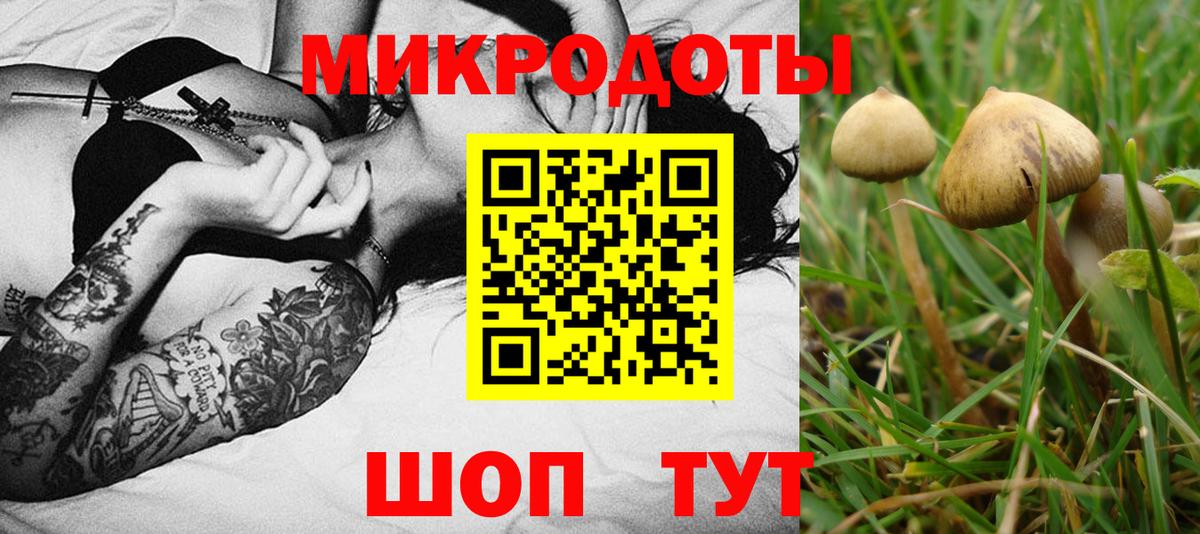 Псилоцибиновые грибы ЛСД Кисловодск