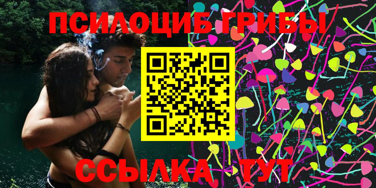 Псилоцибиновые грибы GOLDEN TEACHER  Вход с VPN  Псилоцибиновые грибы Magic Shrooms  Кисловодск 